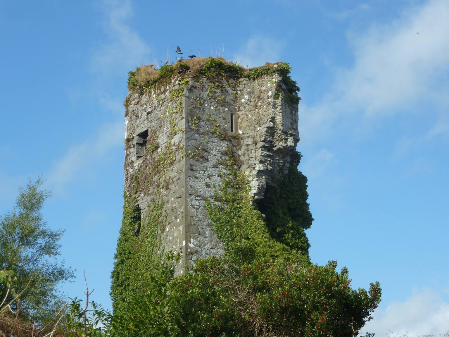 The History of Castleisland Castle Castleisland Castle, County Kerry 'The